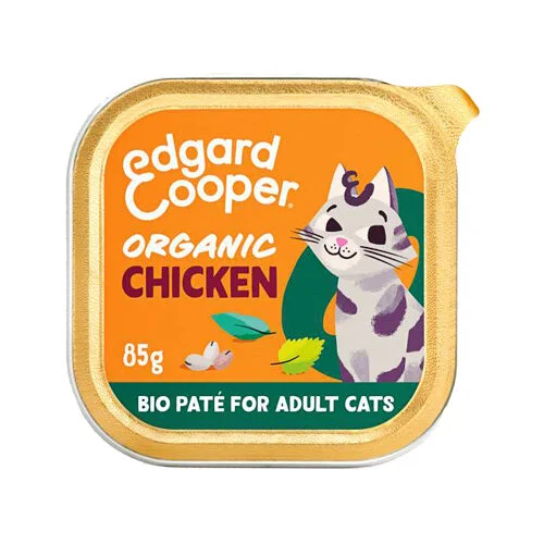 medpets-504090