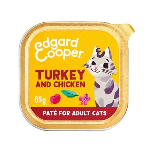 medpets-504107