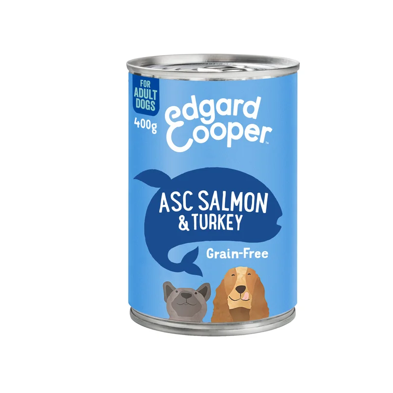 medpets-504129