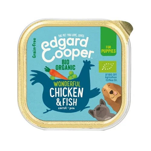 medpets-504170