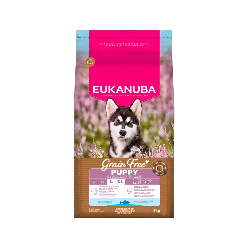 medpets-504357