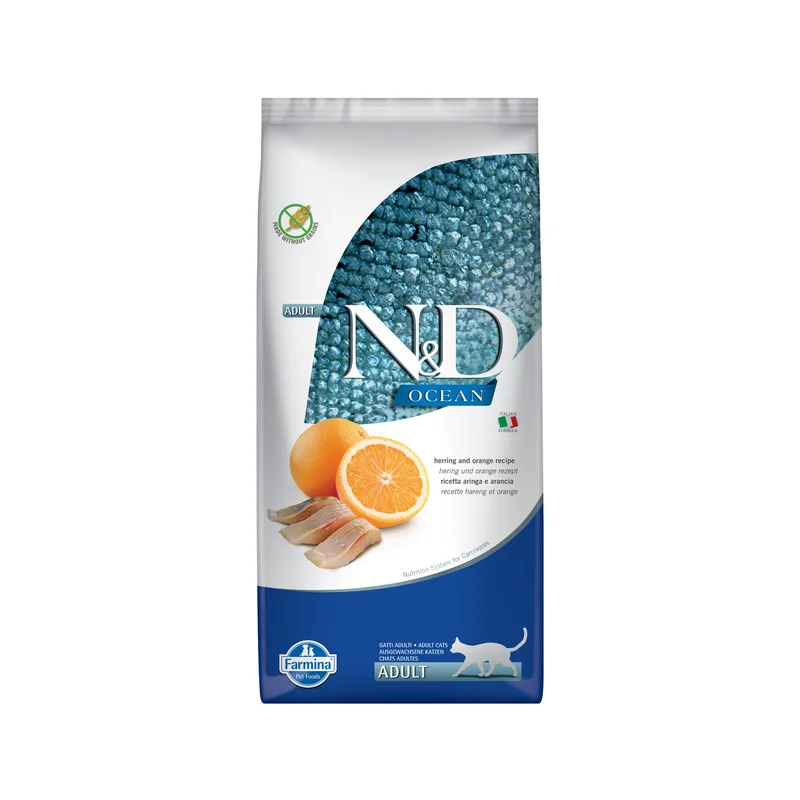 medpets-504451