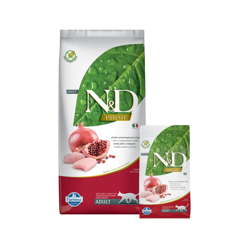 medpets-504494