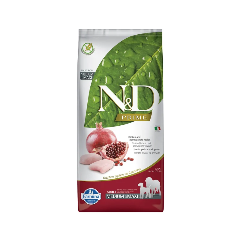 medpets-504499