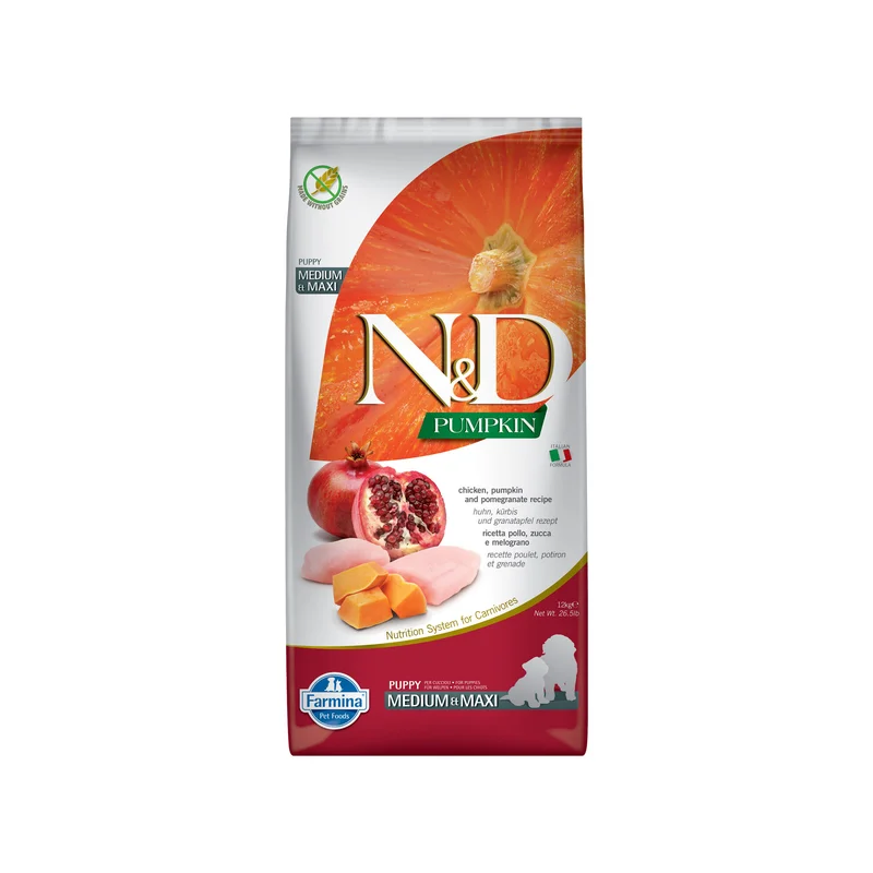 medpets-504573