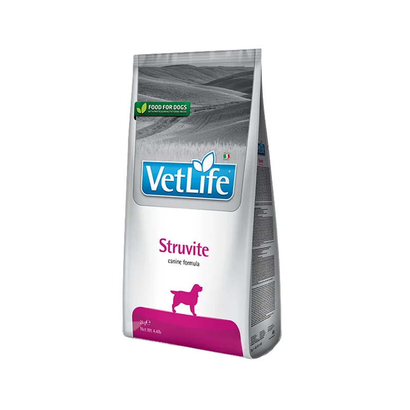 medpets-504694
