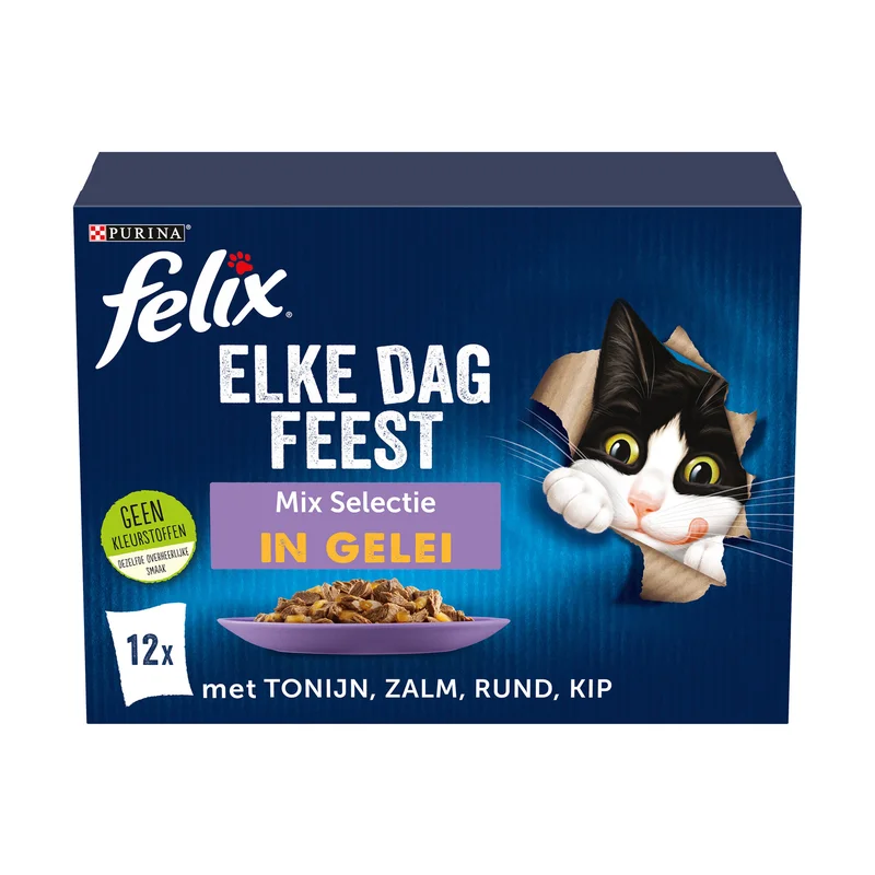 medpets-504704