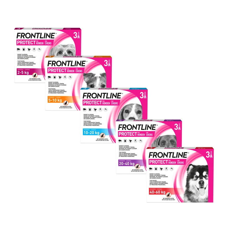 medpets-504993