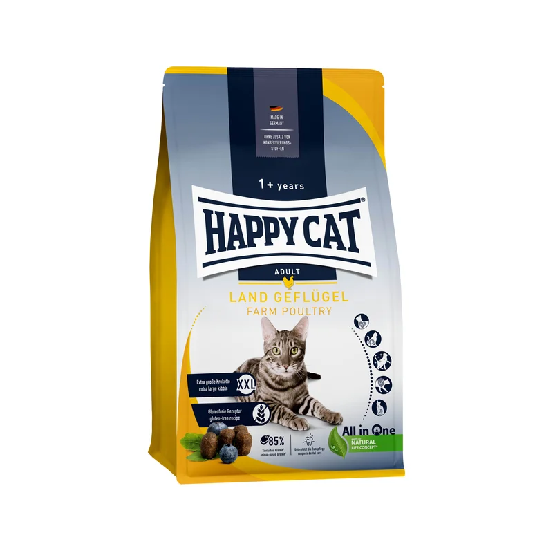 medpets-505370