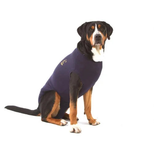 medpets-506533