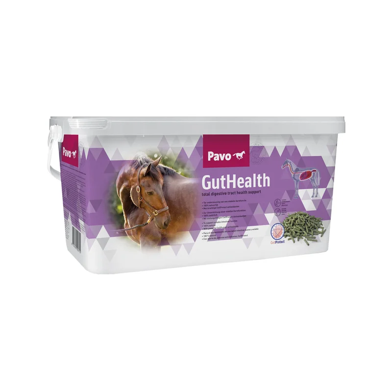 medpets-506687