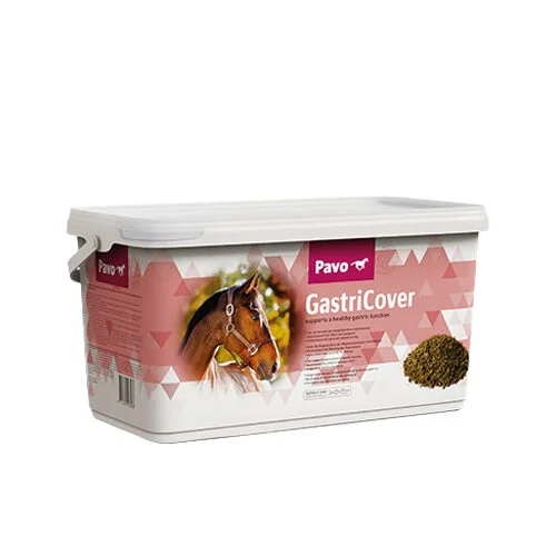 medpets-506688