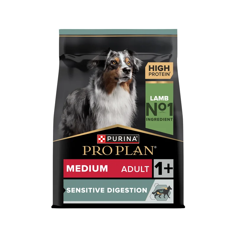medpets-506958