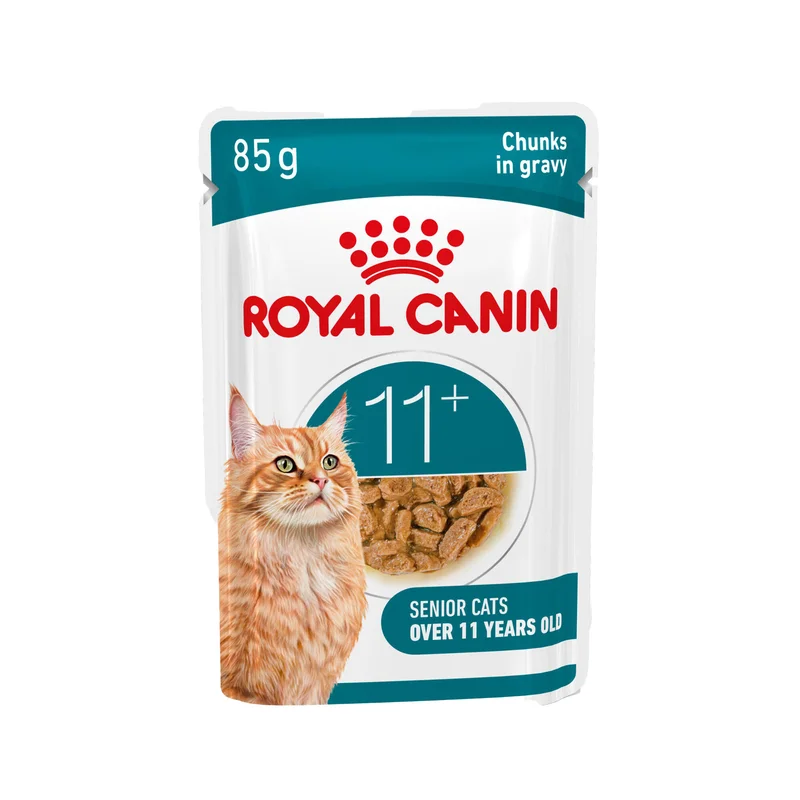 medpets-507222