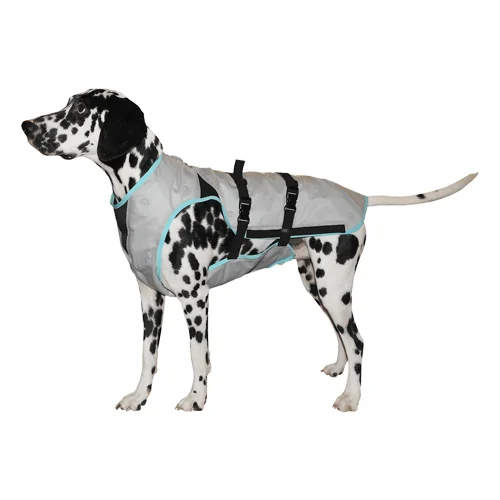 medpets-507777