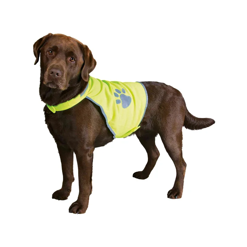 medpets-507883