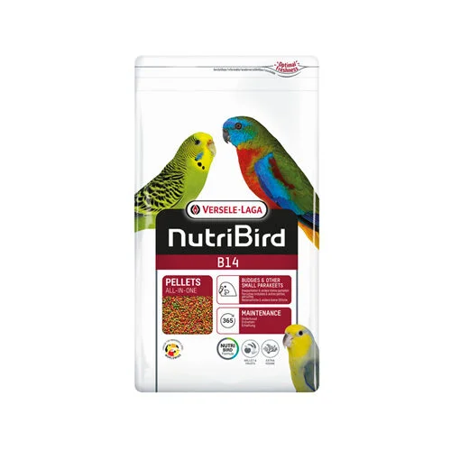 medpets-508031