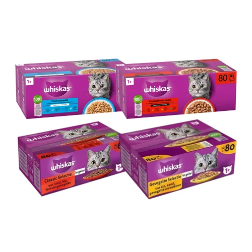 medpets-508218