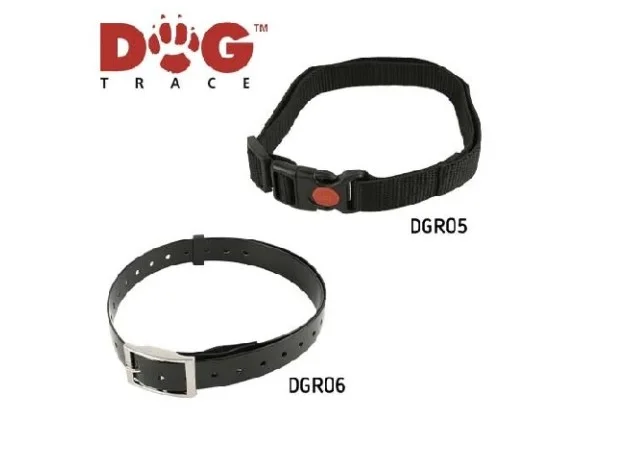 mismascotas-460000