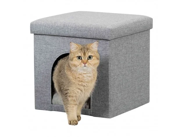 mismascotas-462681