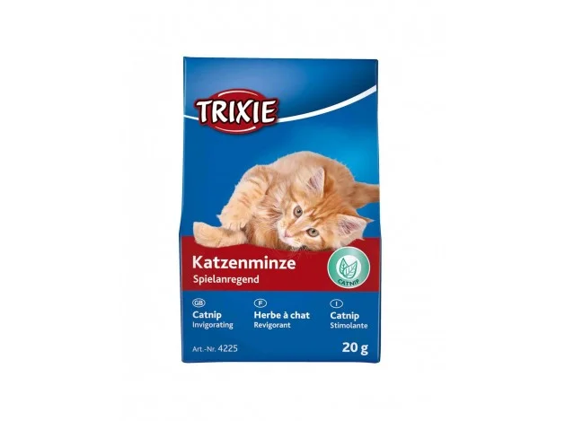 mismascotas-468568