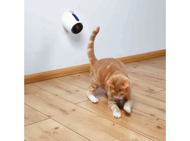 mismascotas-488328