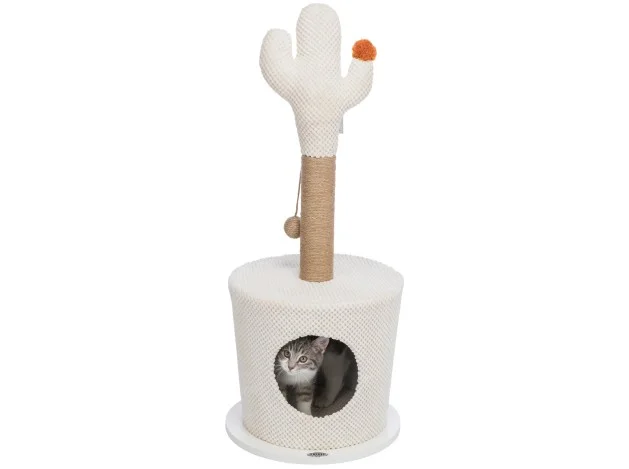 mismascotas-488609