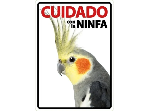 mismascotas-490557