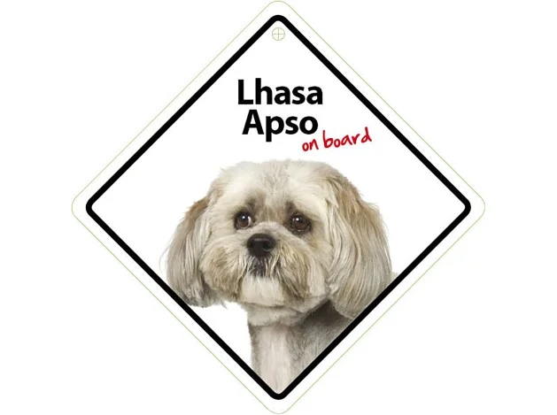 mismascotas-490698