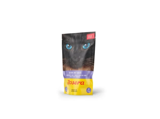 mismascotas-492386