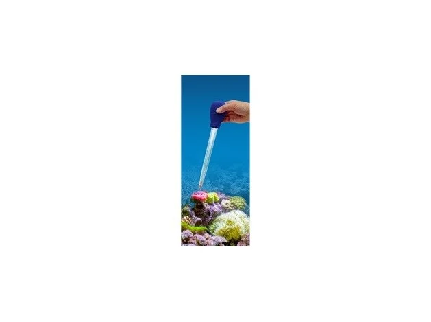 mismascotas-495433