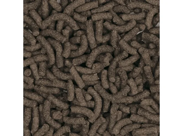 mismascotas-496652