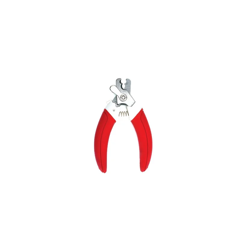 moly-434006