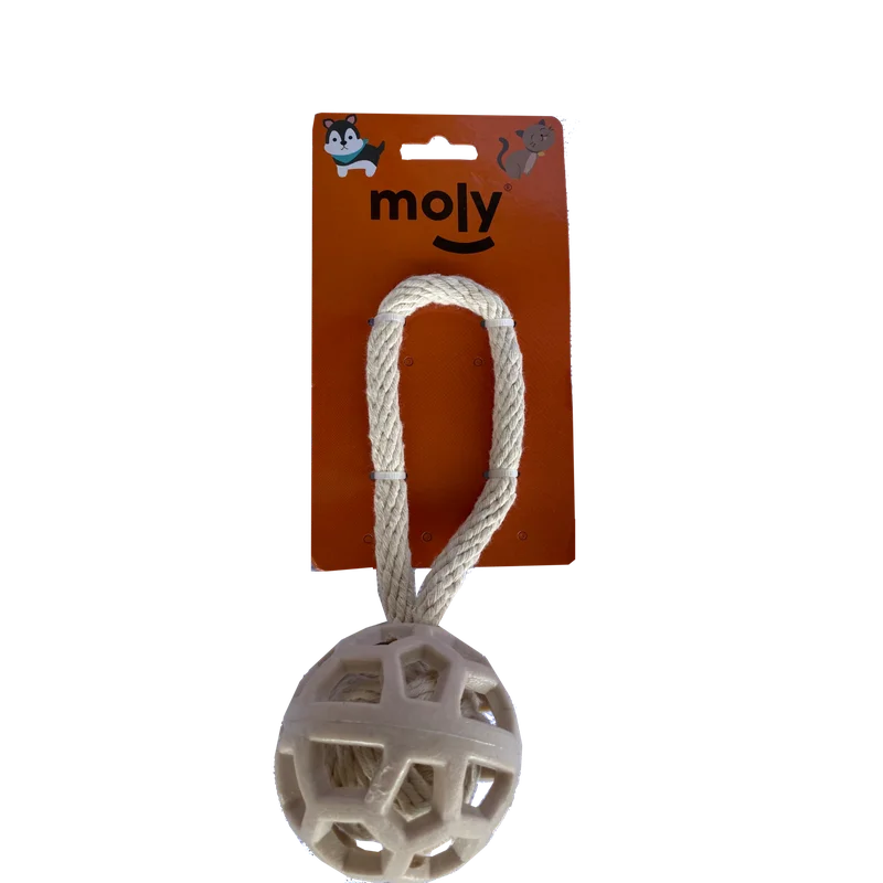 moly-434179