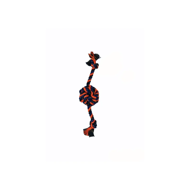 moly-434500