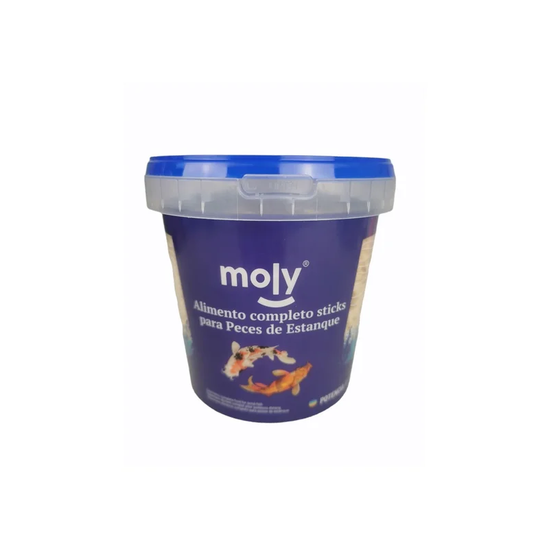 moly-435603