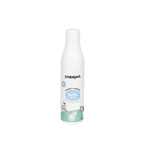moydog-433504
