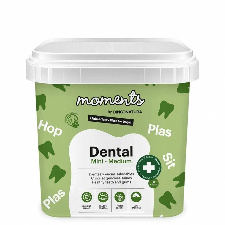 moydog-433865