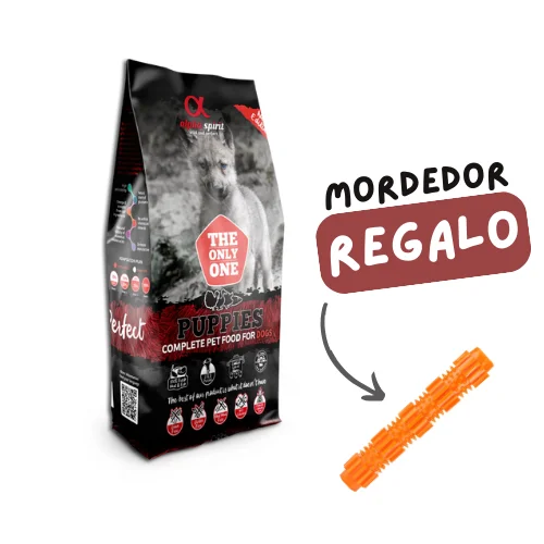 moydog-434443