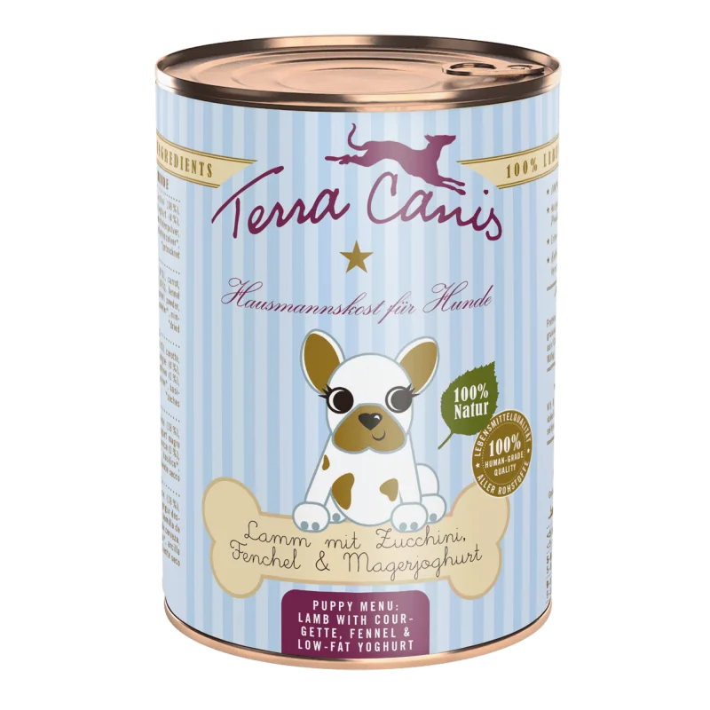 moydog-435814