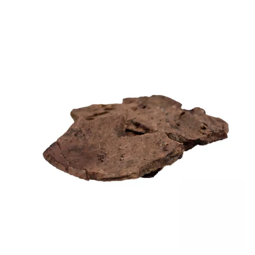 moydog-436089