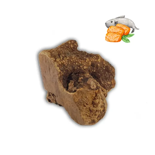 moydog-436095