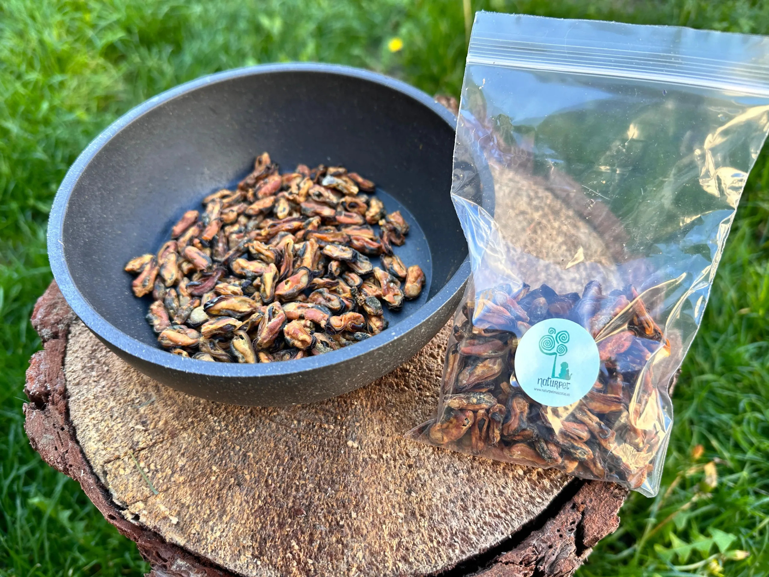 naturpetmascotas-473976