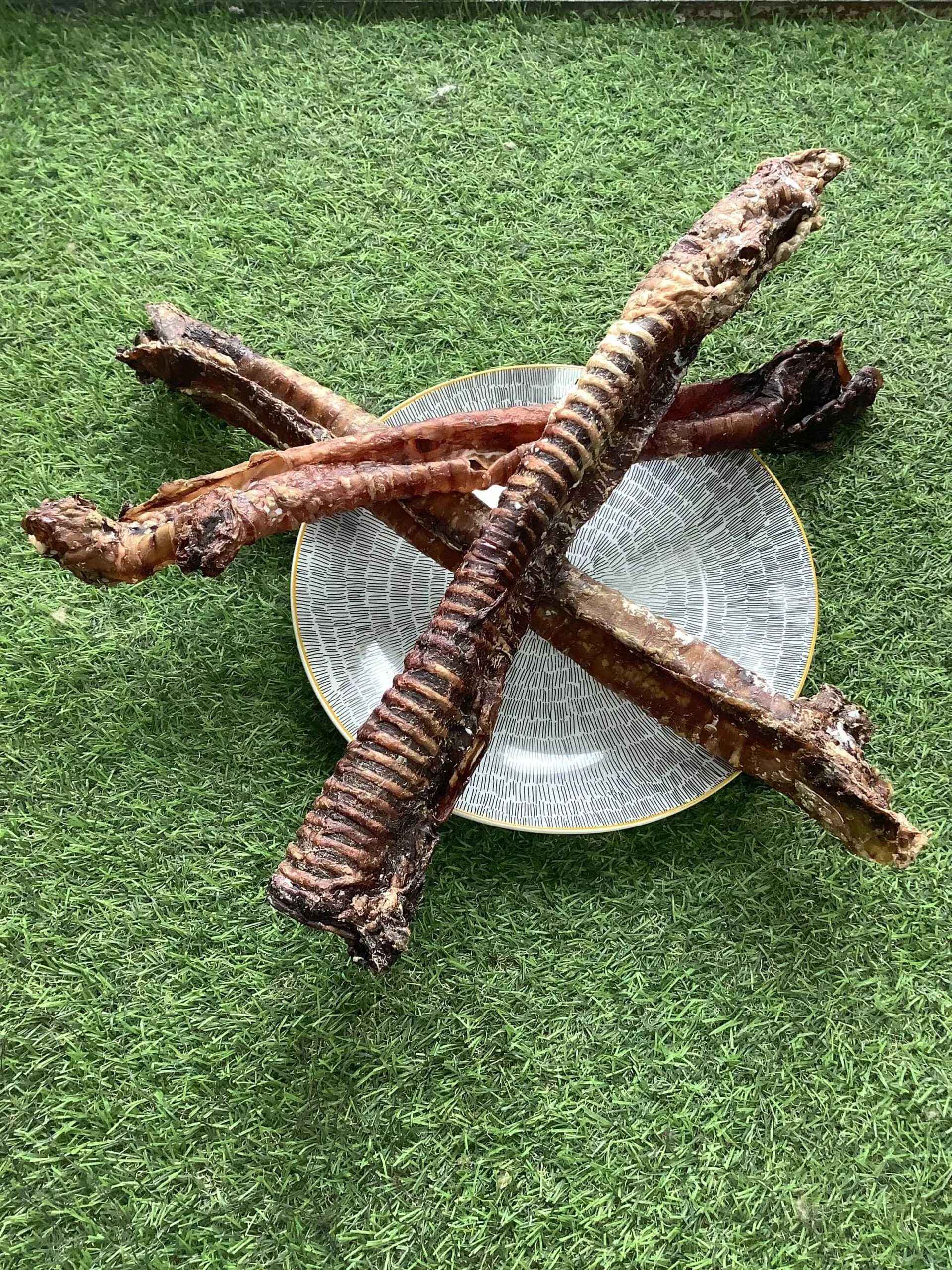naturpetmascotas-477909