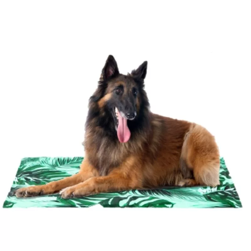 naturpetmascotas-479238