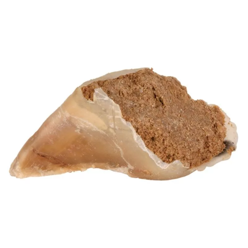 naturpetmascotas-480972