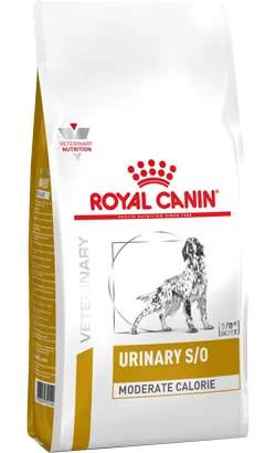 nutripetplan431477