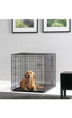 nutripetplan446082