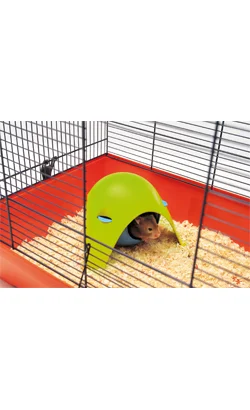 nutripetplan447563
