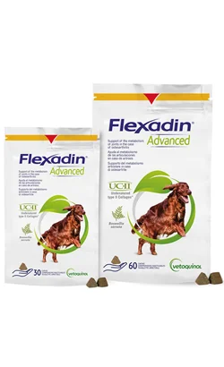 nutripetplan474141